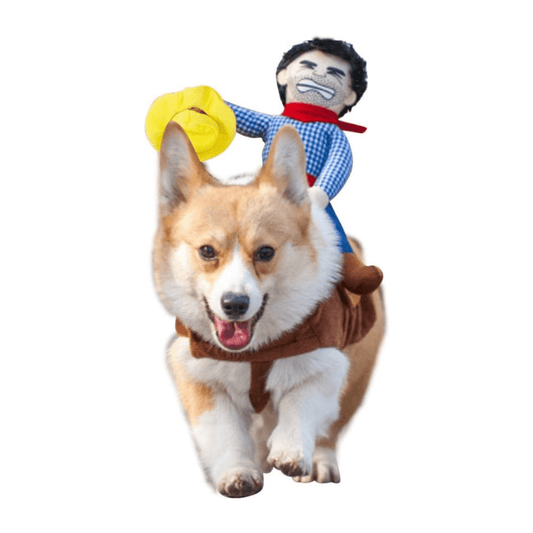 Pet Costume for Dogs and Cats Rodeo Outfit