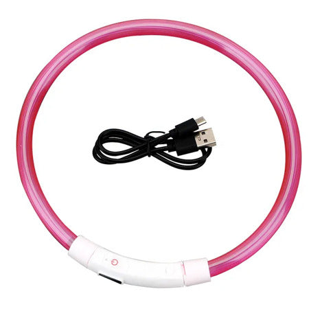 LED Dog Collar Safe Visible Light Up Pet Collar for Night Walks