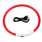 LED Dog Collar Safe Visible Light Up Pet Collar for Night Walks